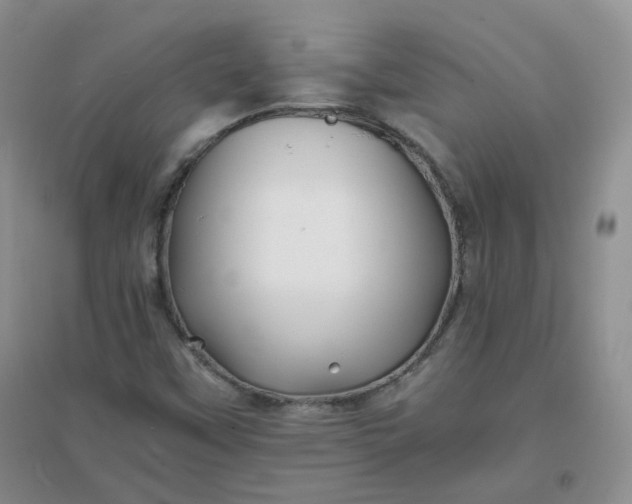 X0000096381451200802071502