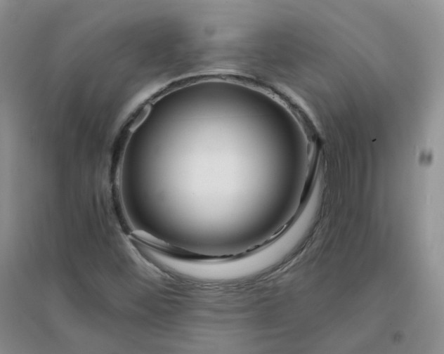 X0000096381452200802071502