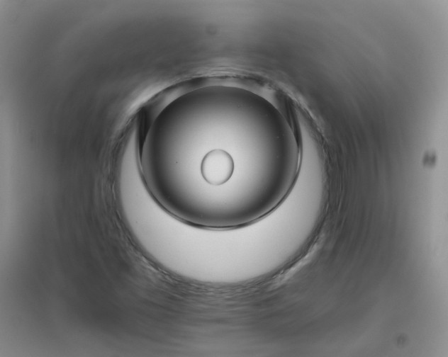 X0000096381453200802071502