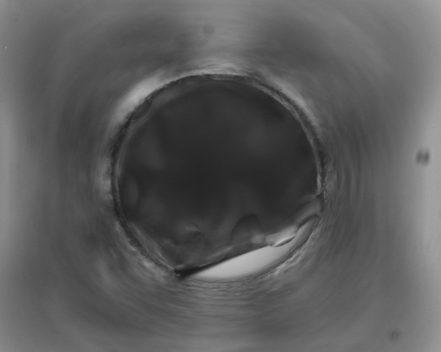 X0000096381455200802071502