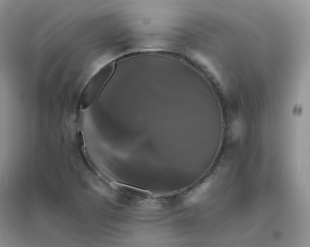 X0000096381457200802071502