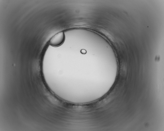 X0000096381458200802071502