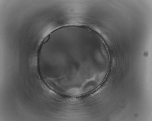 X0000096381459200802071502