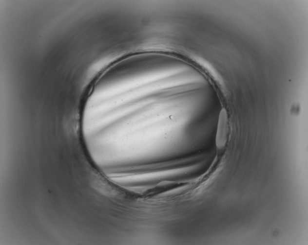 X0000096381461200802071502