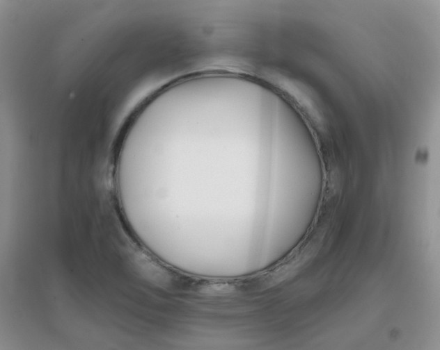 X0000096381462200802071502