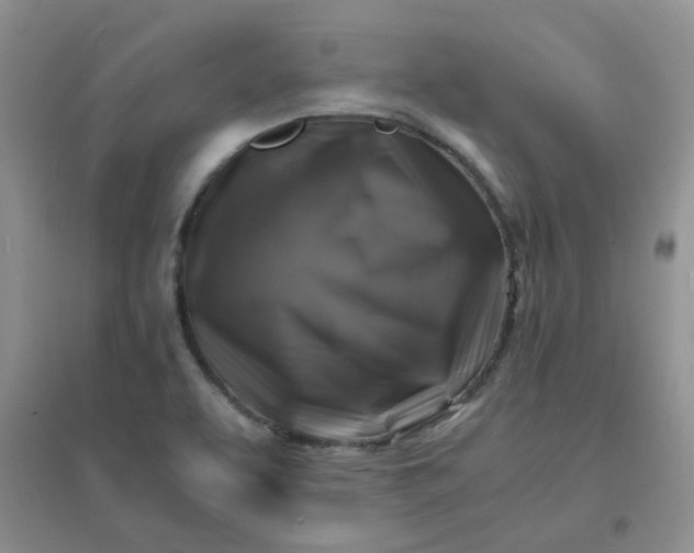 X0000096381463200802071502