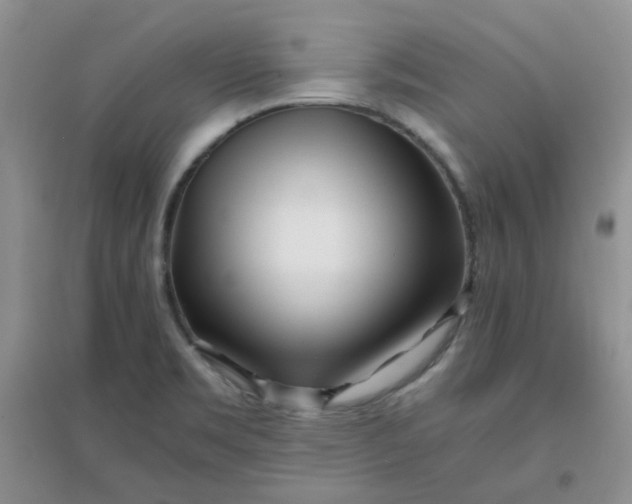 X0000096381469200802071502