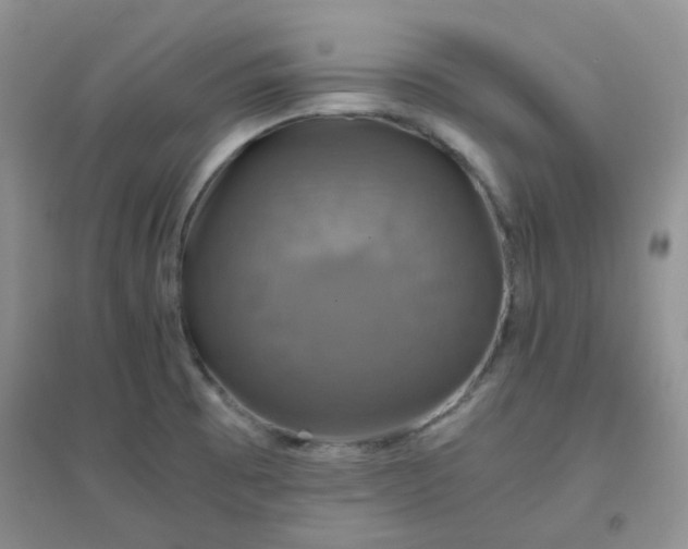 X0000096381473200802071502