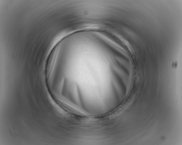 X0000096381475200802071502