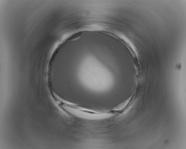 X0000096381477200802071502