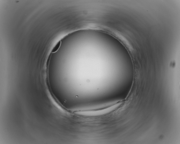 X0000096381479200802071502