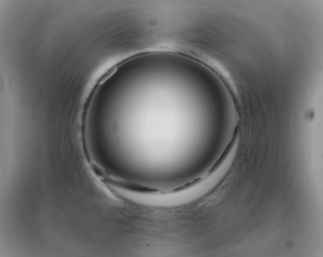 X0000096381480200802071502