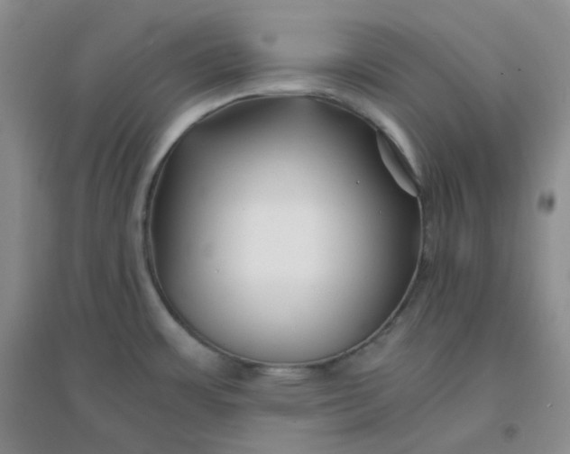 X0000096381483200802071502