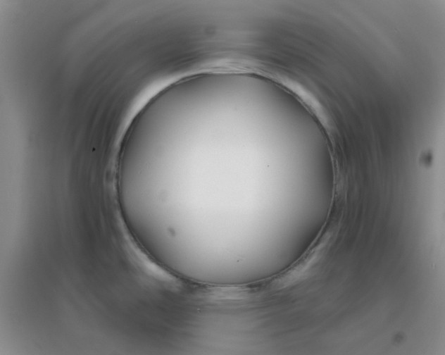 X0000096381486200802071501