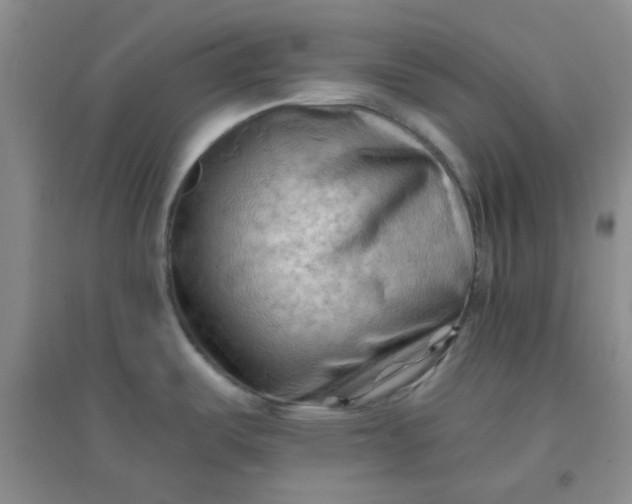 X0000096381487200802071501