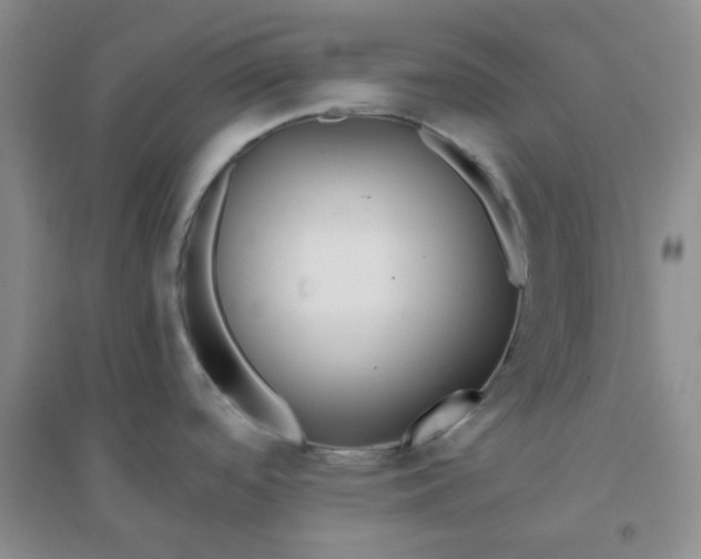 X0000096381488200802071501