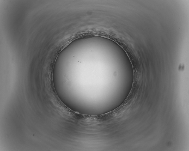 X0000096381489200802071501