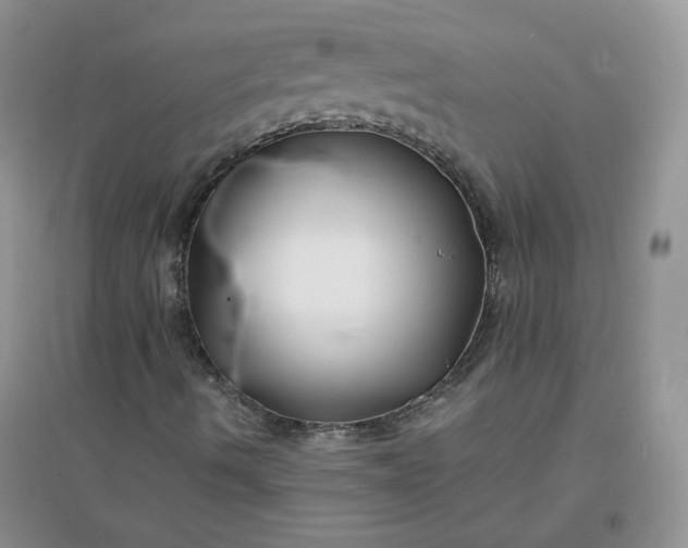 X0000096381490200802071501