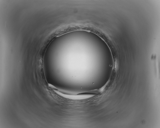 X0000096381492200802071501