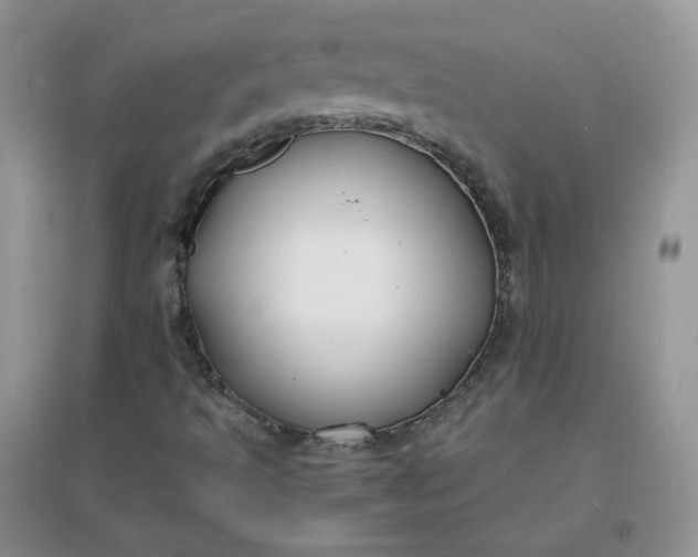 X0000096381493200802071501