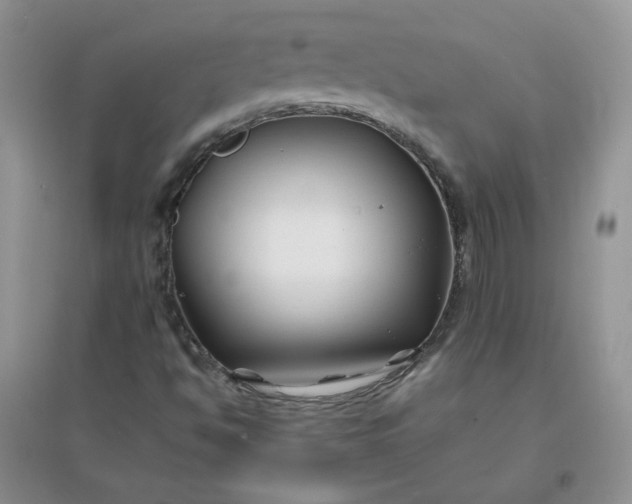 X0000096381494200802071501