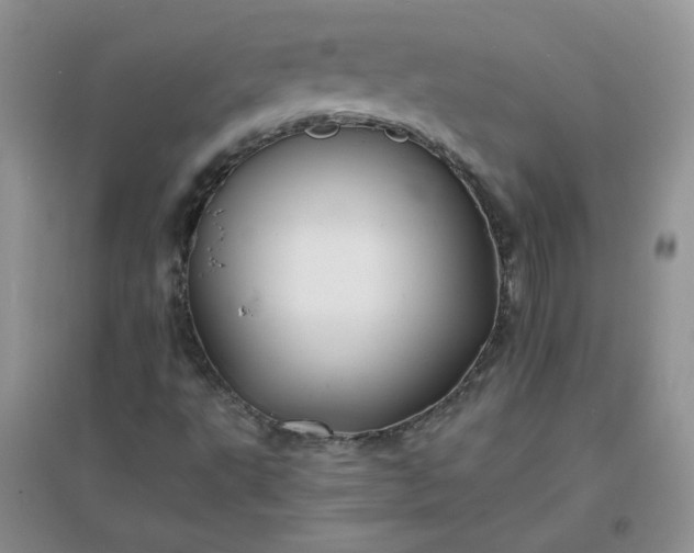 X0000096381495200802071501