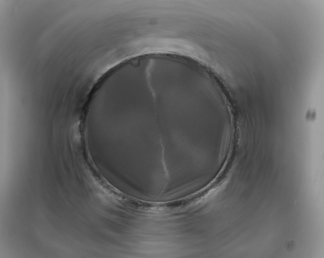 X0000096381497200802071501