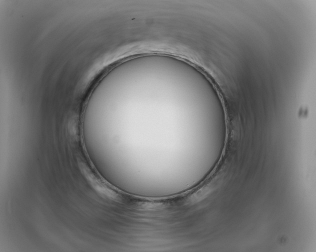 X0000096381499200802071501