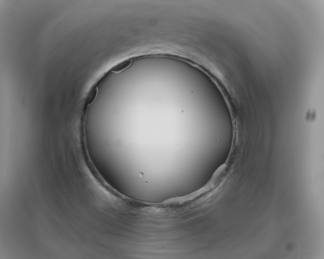 X0000096381500200802071501