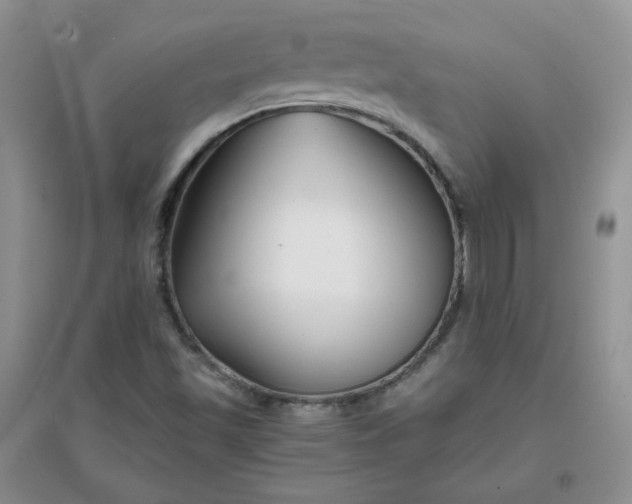 X0000096381501200802071501