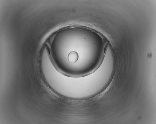 X0000096381502200802071501