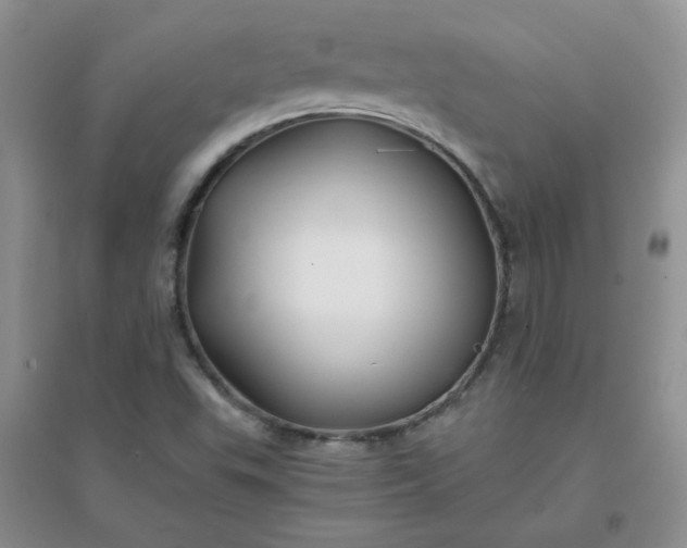 X0000096381503200802071501