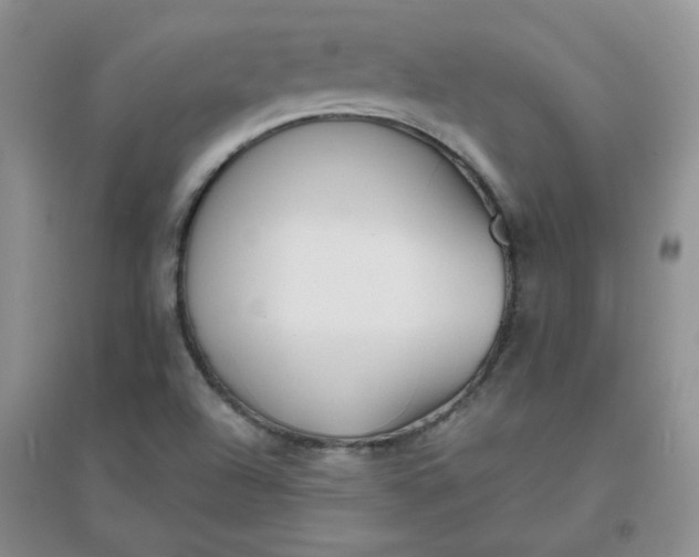 X0000096381504200802071501