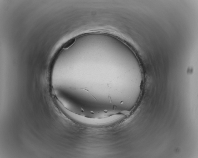 X0000096381506200802071501