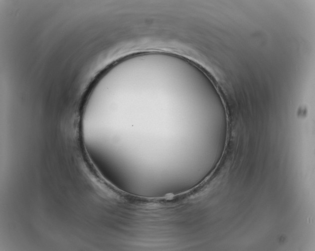 X0000096381507200802071501