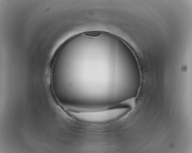 X0000096381510200802071501