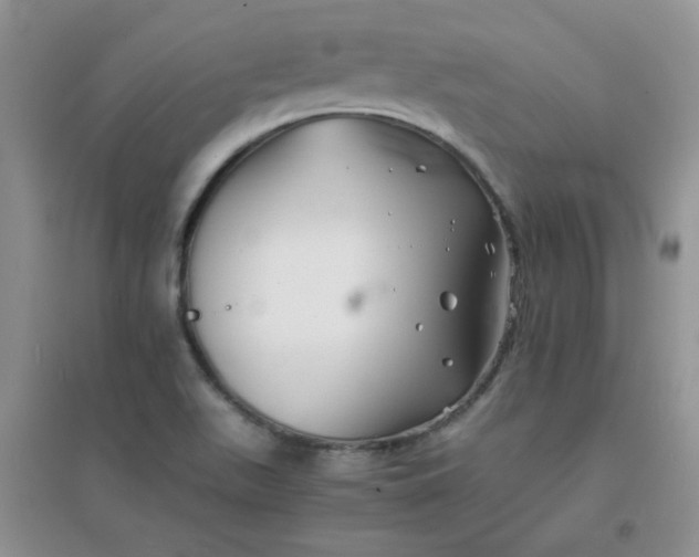 X0000096381511200802071501