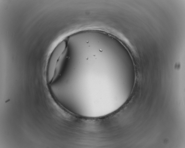 X0000096381512200802071501