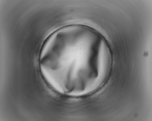 X0000096381513200802071501