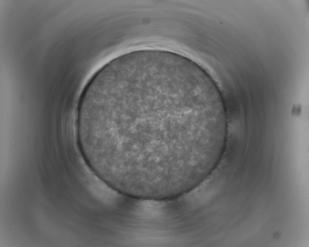 X0000096381514200802071501