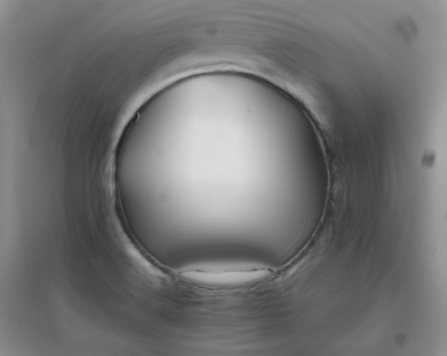 X0000096381516200802071501