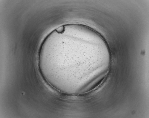 X0000096381517200802071501