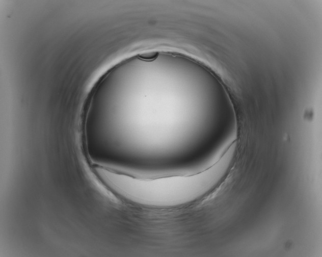 X0000096381518200802071501