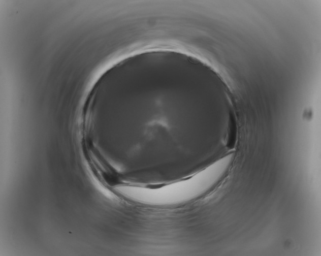 X0000096381519200802071501