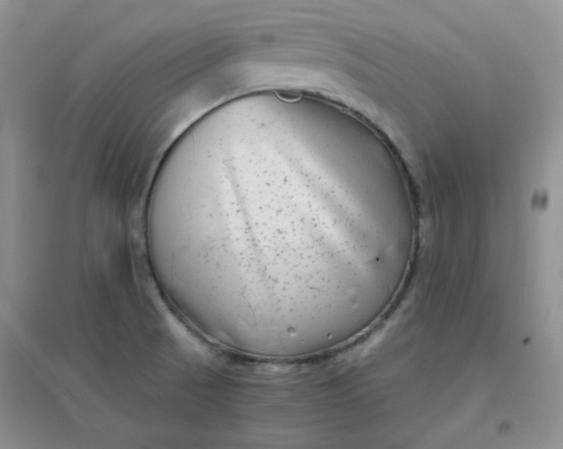 X0000096381521200802071501