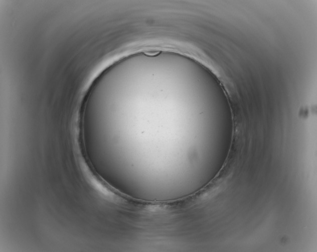 X0000096381523200802071501