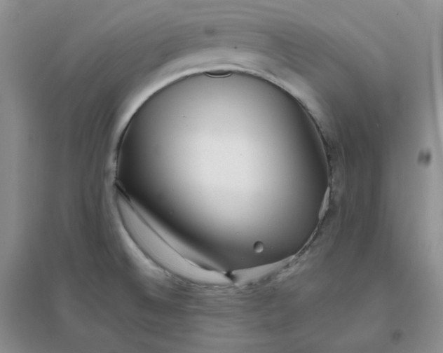 X0000096381524200802071501