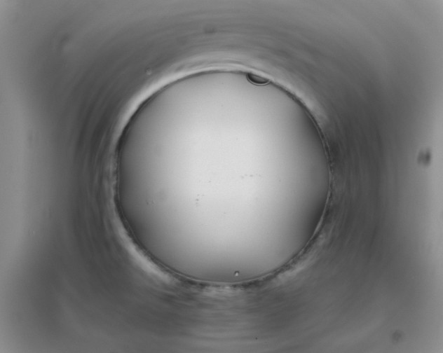 X0000096381526200802071501