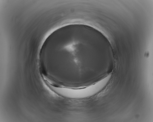 X0000096381527200802071501