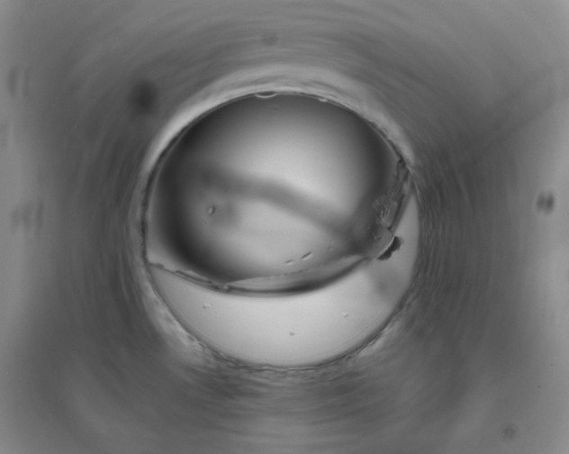 X0000096381530200802071501